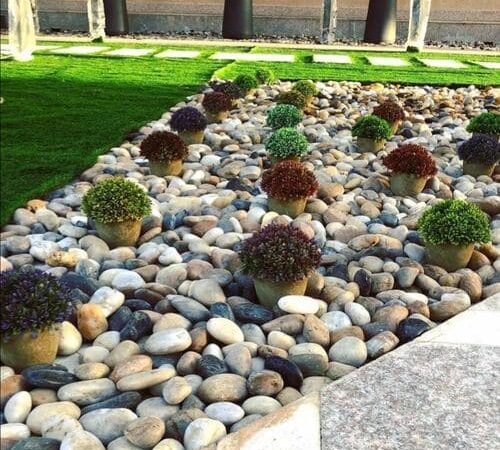 WhatsApp-Image-2022-08-09-at-1.43.39-AM