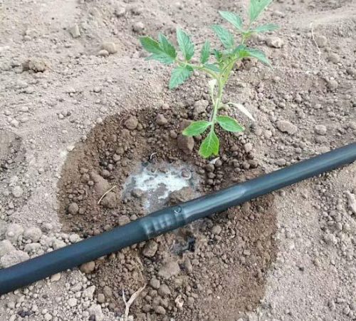 new-model-farm-drip-irrigation-system-saving